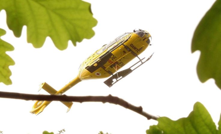 Symbolfoto: Weihbold
