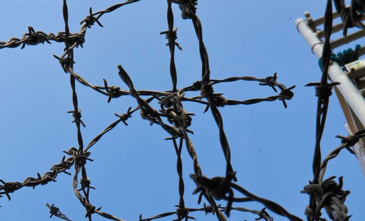 Symbolfoto: Wodicka