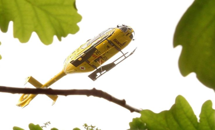 Symbolfoto: Weihbold