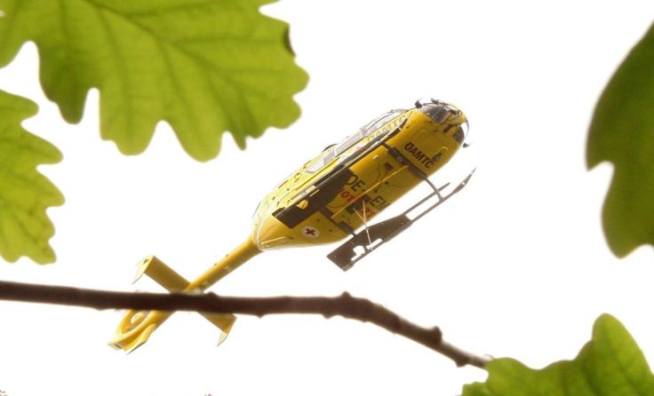 Symbolfoto: Weihbold
