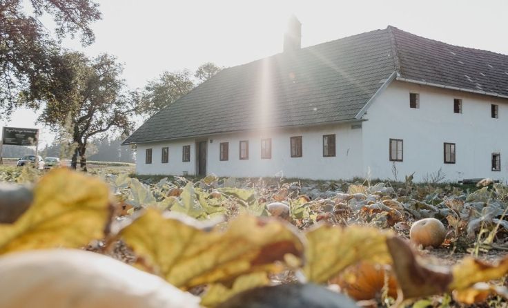Beim Hödlhof Sierning lädt die Landjugend zur Benefizaktivität. Foto: Nina Danninger