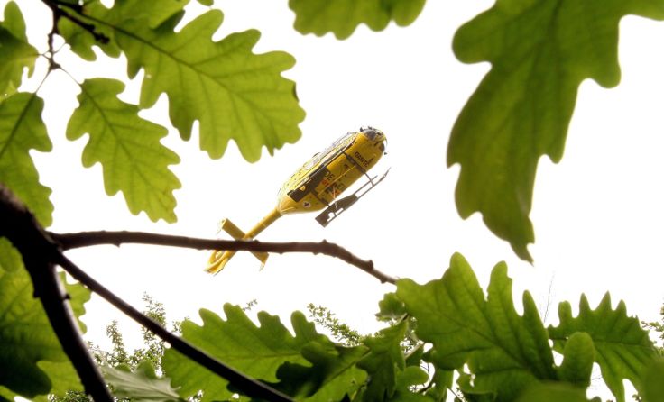 Symbolfoto: vowe