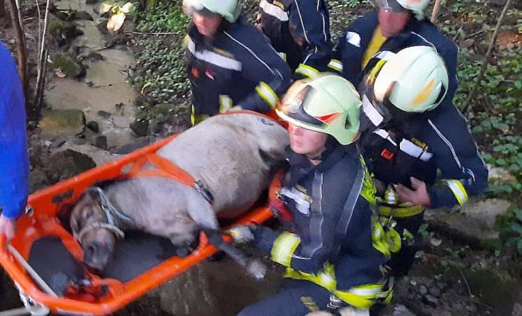  (Foto: Bfkdo Amstetten / FF Behamberg)