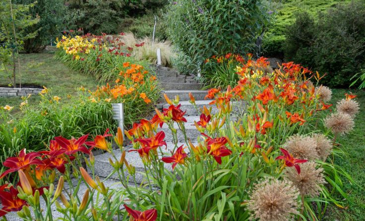 Neben botanischen Augenweiden warten im Schaugarten auch Kultur-Highlights. (Foto: Alexandra Giese)