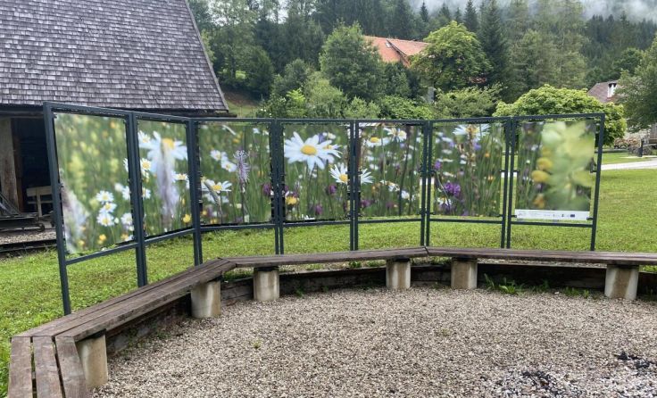 (Foto: Michaela Wiesner)