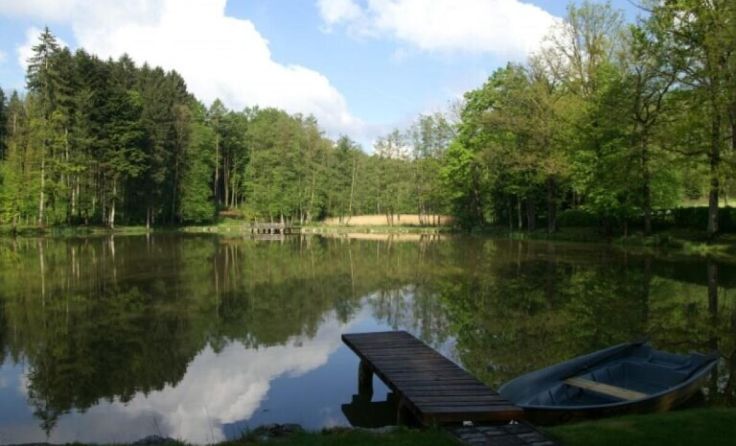 Garstner Teich (Foto: Gottfried Bugelmüller)