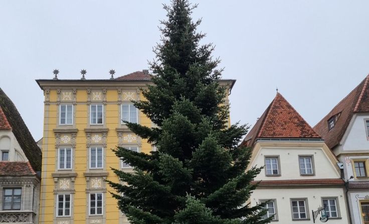  (Foto: Magistrat Steyr)