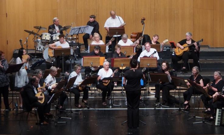 Das Steyrer Mandolinenorchester Arion (Foto: Peter Kokoll)
