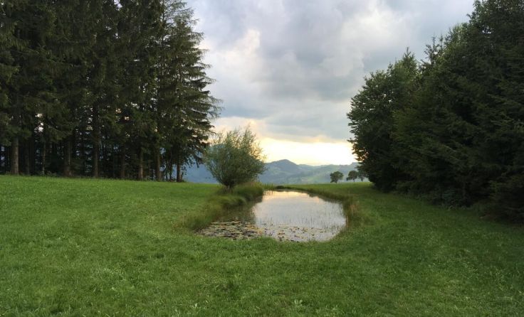  (Foto: Johannes Templ)