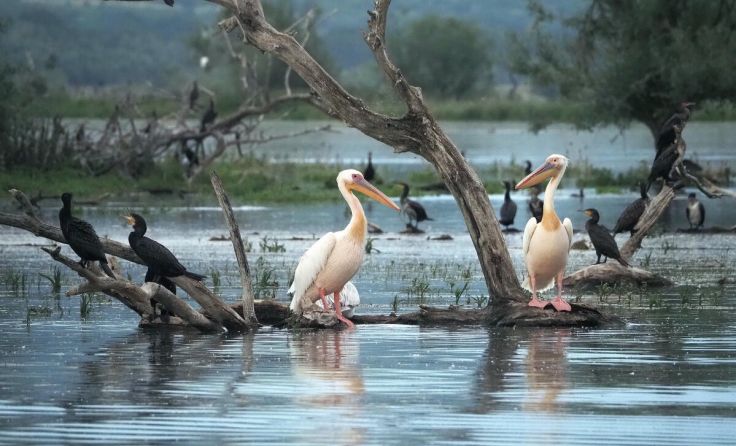 Der Balkan kann (noch) eine ausgeprägte natürliche Vielfalt vorweisen. (Foto: Bernhard Schön)
