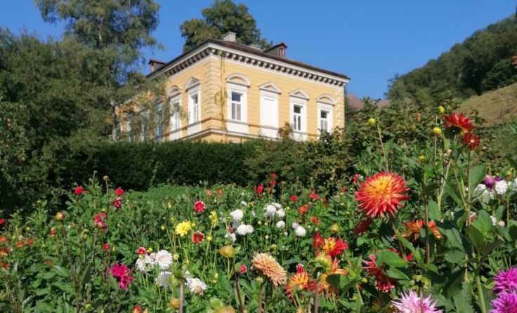  (Foto: Verein D’Hammerschmied/Sitter)