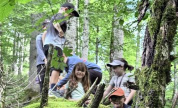 Wissenschaft für alle an der KinderUni Ennstal und bei den Science Holidays Steyr