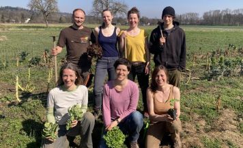 Jungpflanzen bei Krünzeug in Inzersdorf