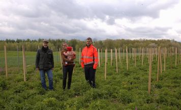 „Babywald“ im Steyrer Stadtgut wächst weiter