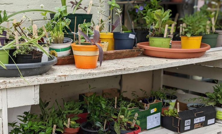  (Foto: Grüne Garsten)