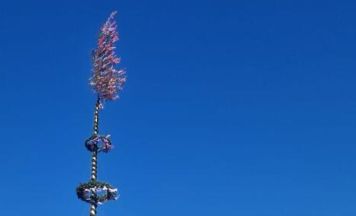 In Hinterstoder fällt feierlich der Maibaum