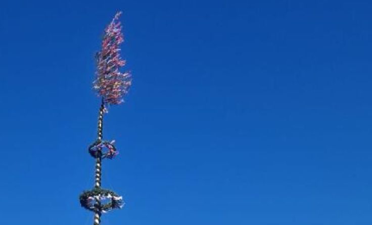 Für den Maibaum in Hinterstoder endet die Saison mit einem Fest. (Foto: TMK Hinterstoder)