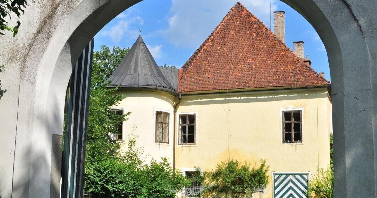 Internationaler Musiksommer im Schloss Rosenegg