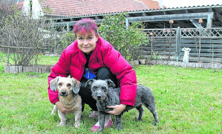 Doris Barl mit ihren vierbeinigen Lieblingen Gismo (l.) und Gina. Foto: Brandt
