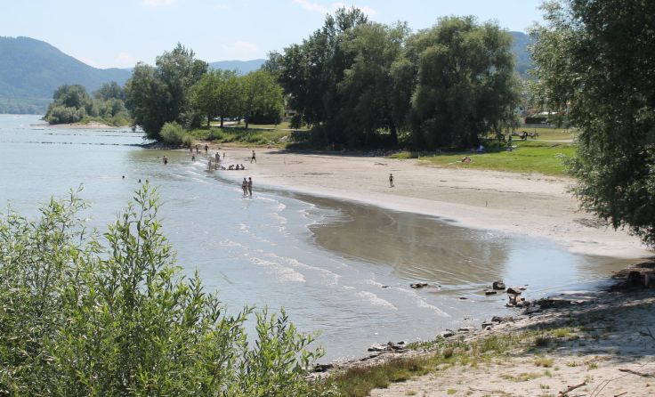 Am Donaustrand in Weißenkirchen kann man den Sommer richtig genießen. Foto: Brandt