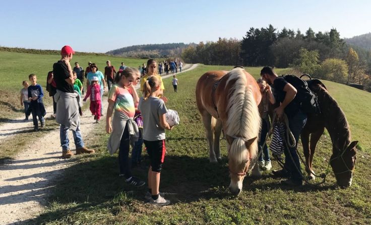 Die Kinder erfreuten sich am Anblick der Pferde. Foto: Bettina Noitzmüller