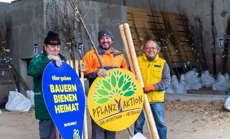 333 junge Obstbäume für die RegionFoto: Verein Leader-Region Kamptal