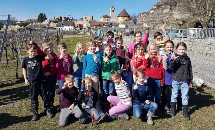 Die Kinder verbrachten eine lehrreiche Zeit im Weingarten. Foto: VS Dürnstein