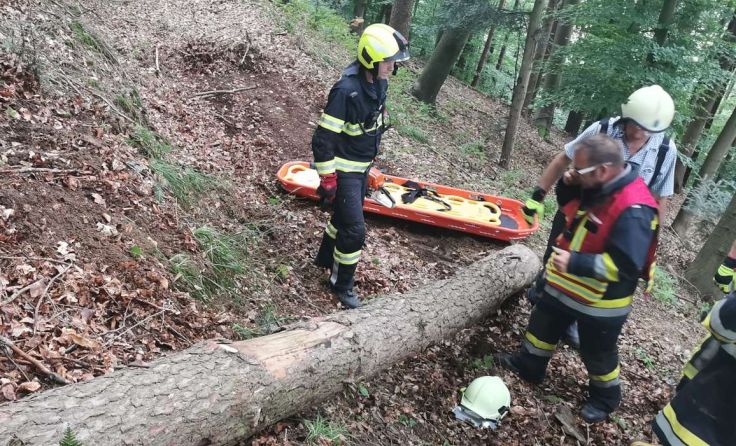 Unter diesem Baum wurde der Arbeiter begraben. Foto: FF Mannersdorf