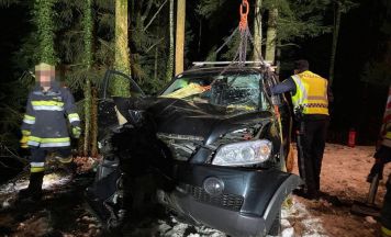 Frontalcrash: Flucht vor Polizei endete an Baum