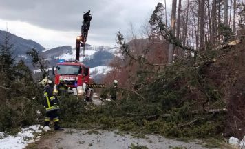 Sturmtief Nadja forderte die Feuerwehren im Bezirk