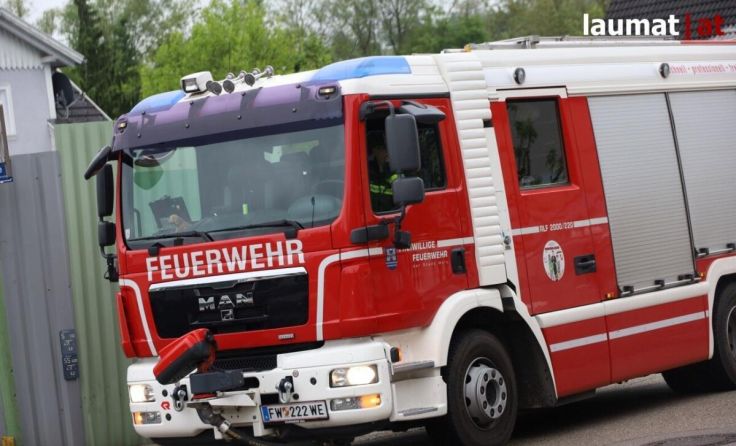 Die Feuerwehr konnte das Reh nicht finden. (Foto: Laumat.at / Matthias Lauber)