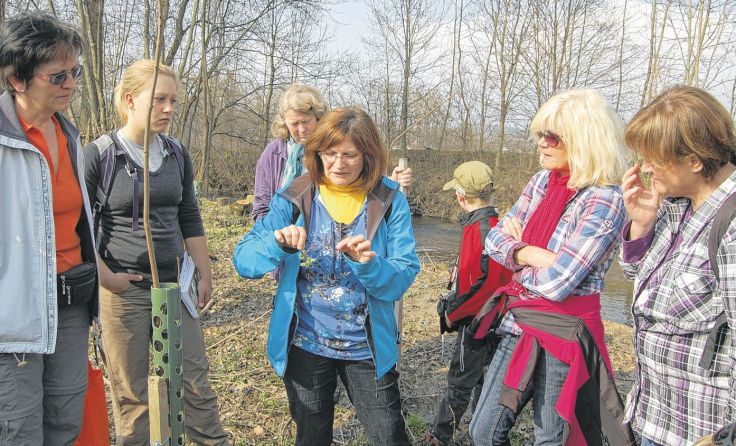 Die Teilnehmer erfahren, was Bärlauch und Co alles können.