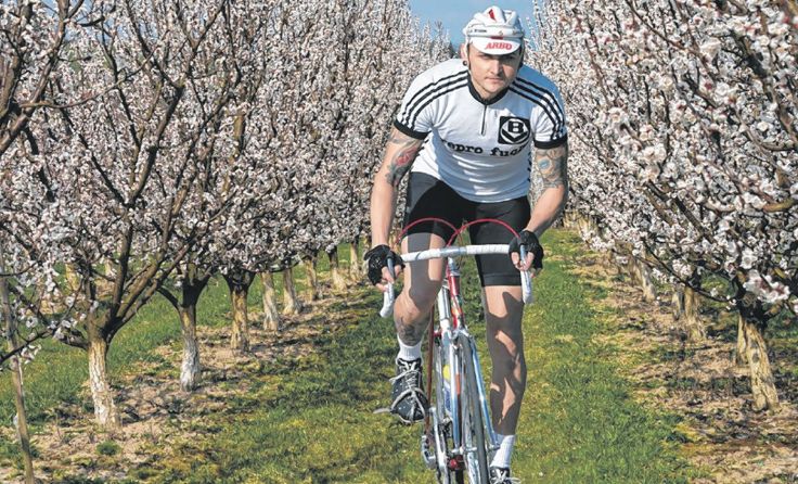 Die Routen führen durch das blühende Obst-Hügel-Land. Foto: Kirschblüten Radklassik