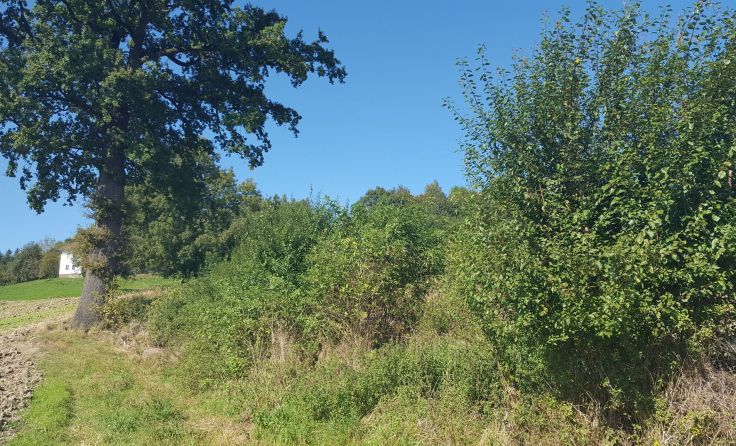 Foto: Naturpark Obst-Hügel-Land