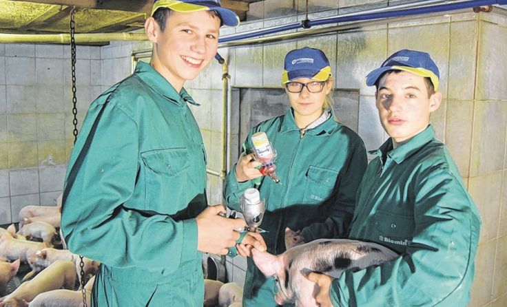 Der praktische Unterricht hat in Waizenkirchen einen hohen Stellenwert. Foto: LWBFS Waizenkirchen