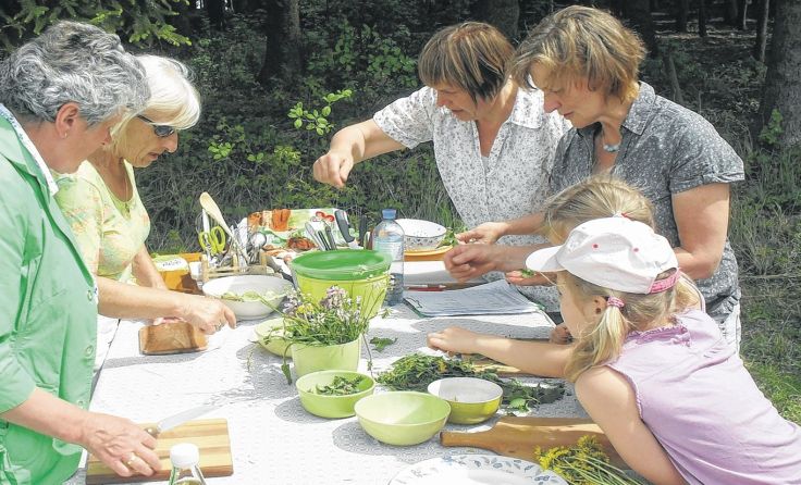 Foto: Naturpark Obst-Hügel-Land
