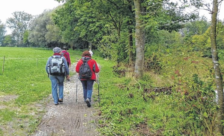 Gemeinsam wird von Ortenburg nach Scharten gepilgert. Foto: Andrea Greinecker