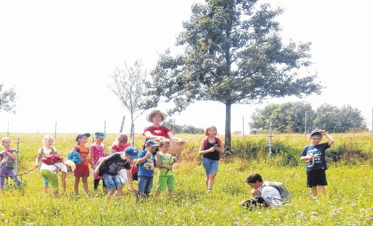 Foto: Naturpark Obst-Hügel-Land