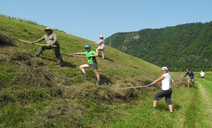 Foto: Naturschutzgruppe Haibach