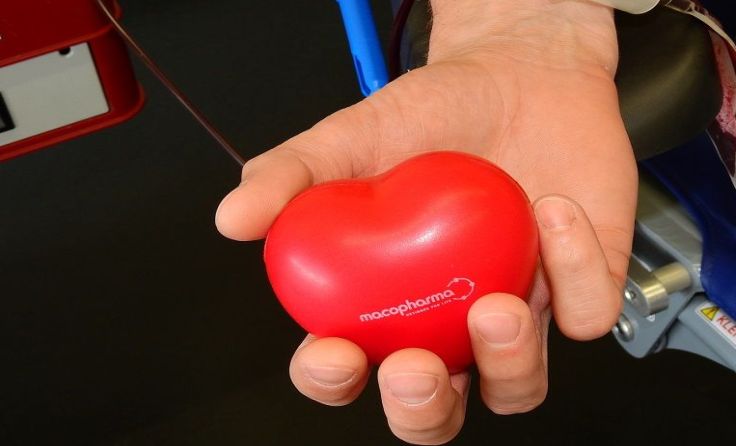 Foto: Rotes Kreuz Eferding/Haupt