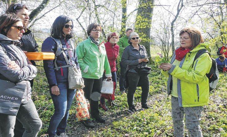Foto: Naturpark Obst-Hügel-Land