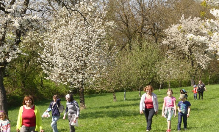 Foto: Naturpark Obst-Hügel-Land