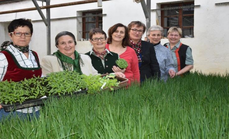 Stroheimer Frauen präsentieren die ersten Pflänzchen. Foto: Karl Viehböck 