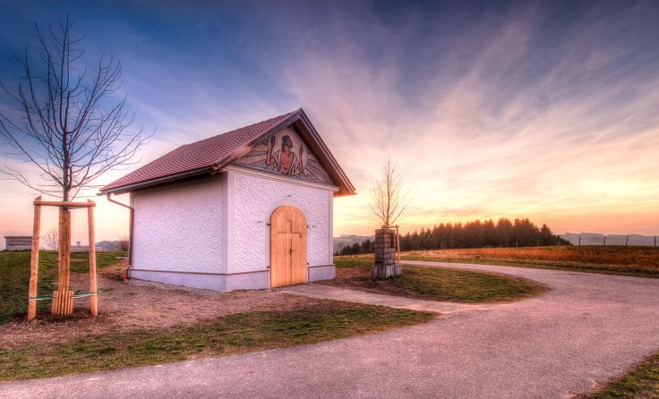 Foto: Kaindlstorfer 