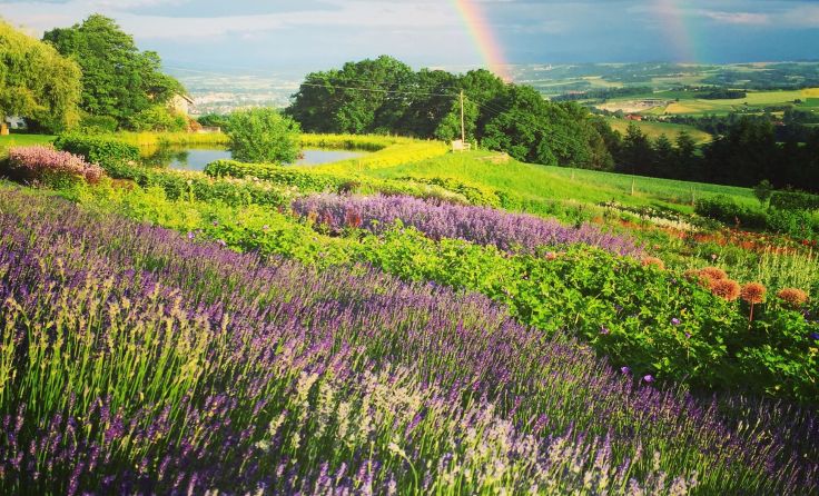 Der Garten der Geheimnisse ist längst kein Geheimtipp mehr. Foto: Wimleitner