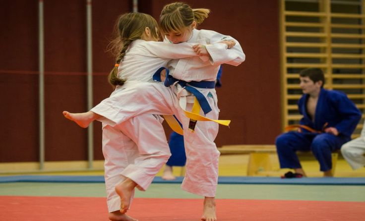 JZ Rapso startet Judo-Anfängerkurse in Alkoven und Prambachkirchen. Foto: JZ Rapso