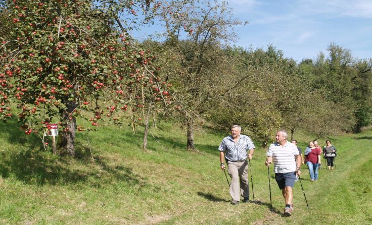 Foto: Naturpark Obst-Hügel-Land