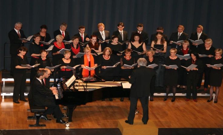 Der Davidchor Eferding feiert heuer sein 70-jähriges Bestehen. Foto: Davidchor