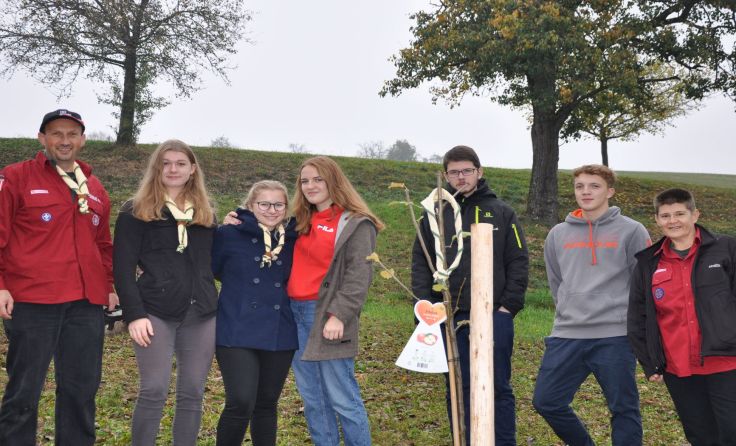 Die Ranger und Rover mit ihrem Baum. Foto: Pfadfindergruppe Kremstal