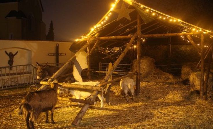 Lebende Krippe in Alkoven. Foto: Grüne Alkoven/Linzner